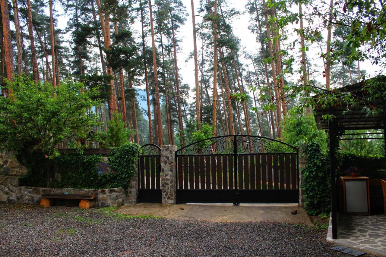 Guest House On Meskheti Borjomi Eksteriør bilde