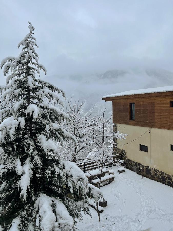 Guest House On Meskheti Borjomi Eksteriør bilde