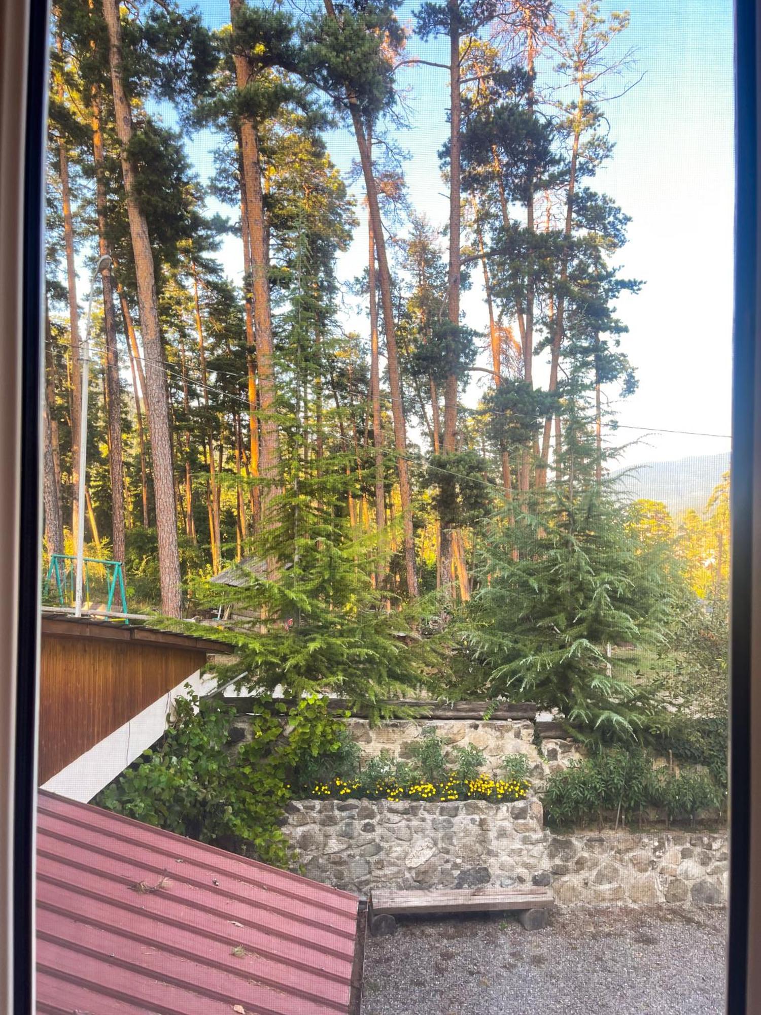 Guest House On Meskheti Borjomi Rom bilde