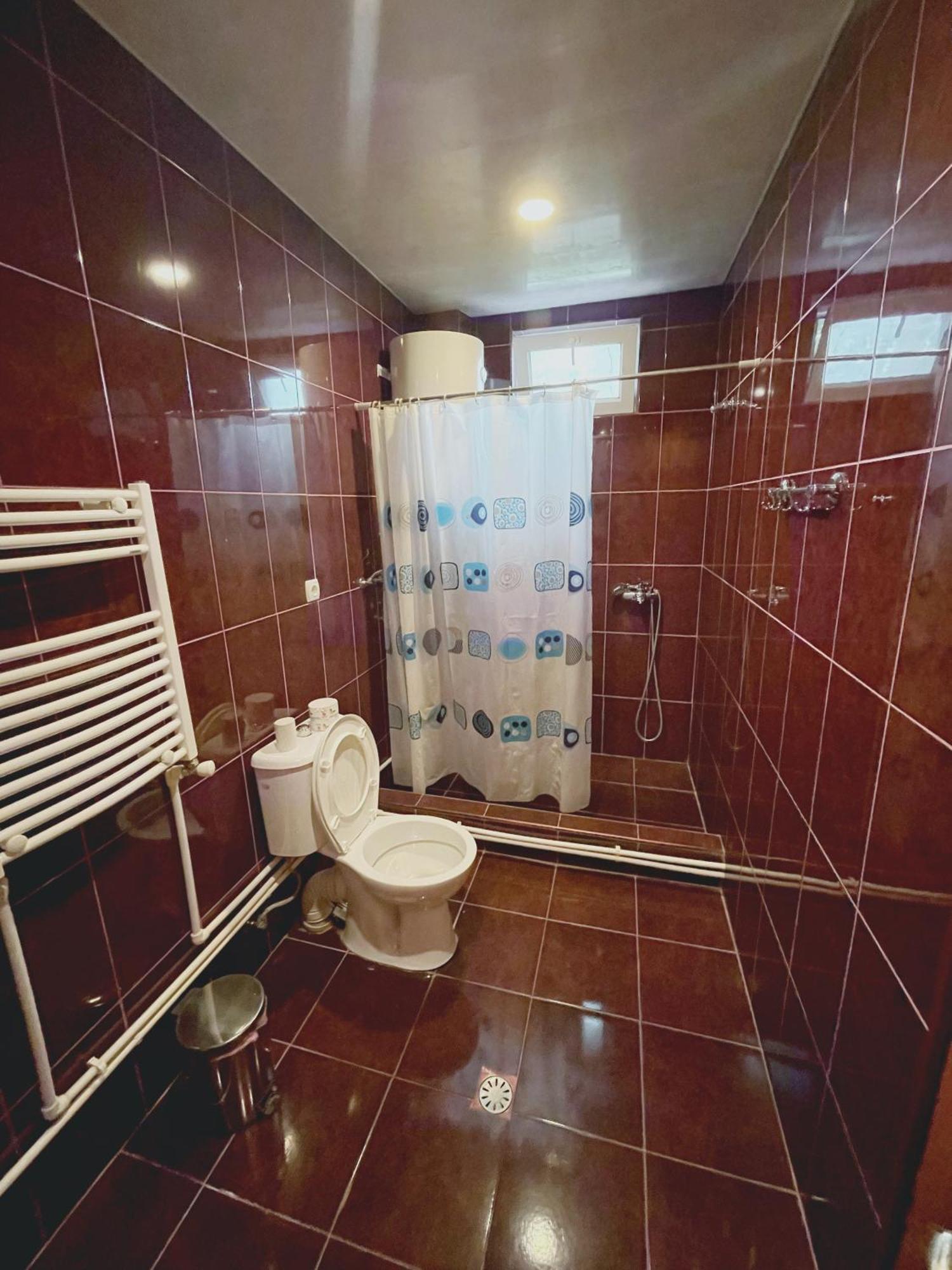 Guest House On Meskheti Borjomi Rom bilde