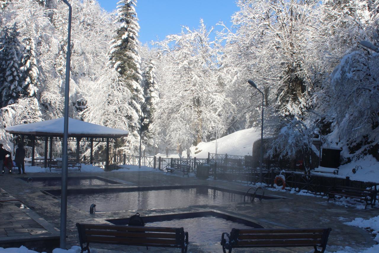 Guest House On Meskheti Borjomi Eksteriør bilde